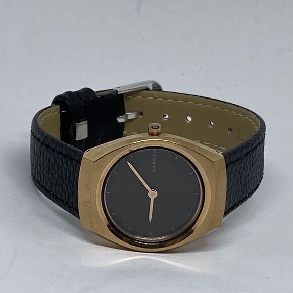 Skagen Asta SKW2651 Women\'s Black Leather Analog Dial Quartz Wrist Watch JK592 main image 6